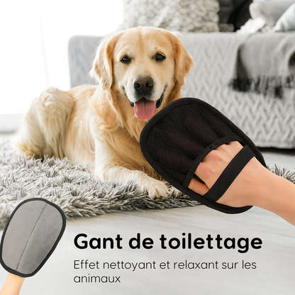 Miraculous - Gant anti poils d'animaux